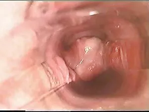 Sesso porno gratis h ...